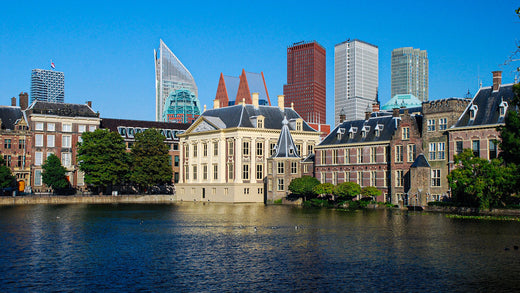 Den Haag Mauritshuis en Skyline