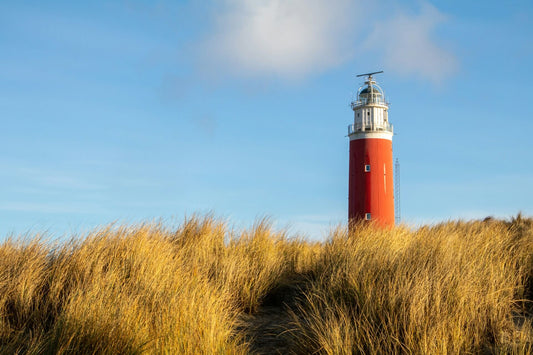 Texel Ontdekken: 12 Verborgen Plekken Buiten de Drukste Stranden