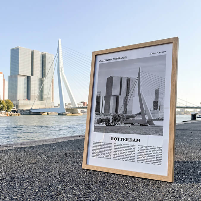 Fotoposter Rotterdam bij Erasmusbrug Review