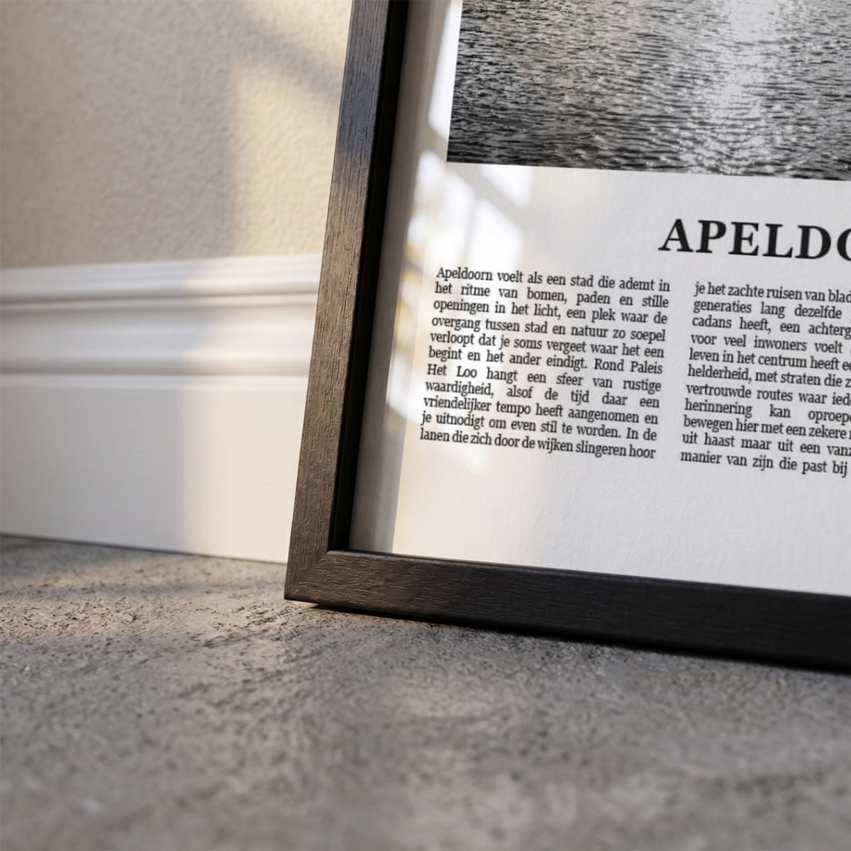 Detailopname van Apeldoorn Fotoposter – Zwart-Wit ingelijst in zwarte fotolijst