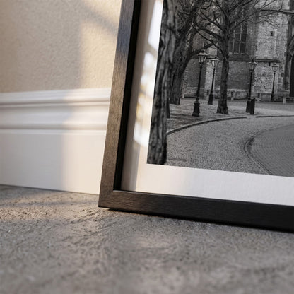 Detail van Leiden Klassiek fotoposter en lijst - Zwart-Wit